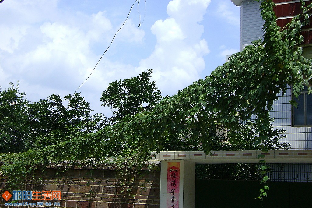 DSC01588.JPG