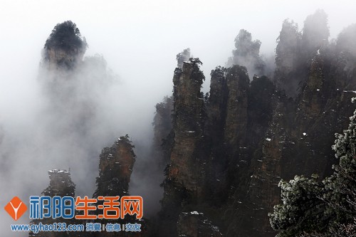 开坛说法.jpg