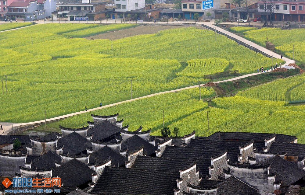 鳞次栉比.jpg