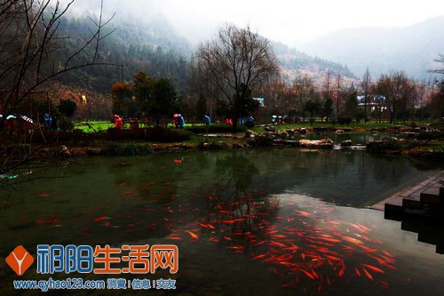 早春游客.jpg