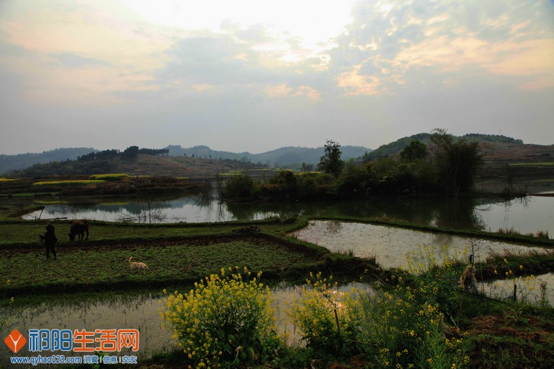aIMG_6704.jpg