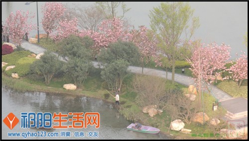 DSCN0724.jpg