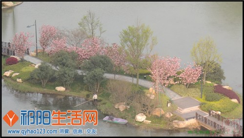 DSCN0723.jpg