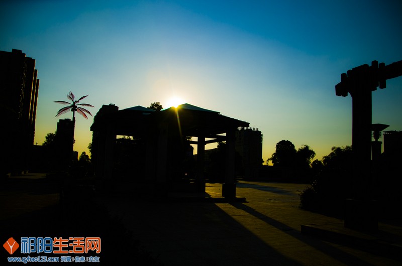 DSC_3796.jpg