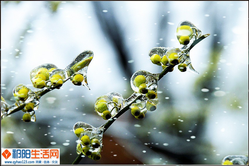 085_副本1.jpg