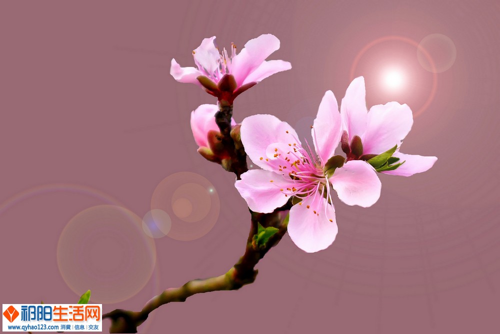 L1000119副本.jpg