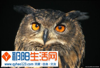 t01c90c7b3a1673dfe2.jpg