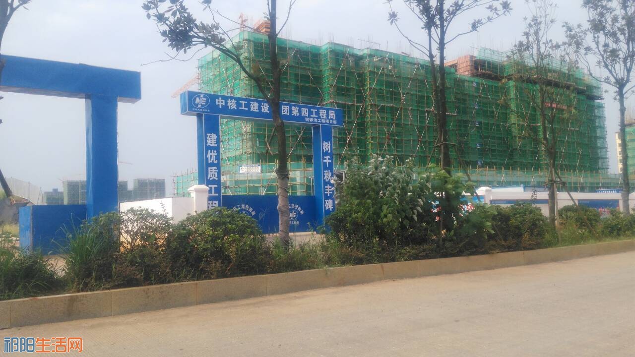 QQ图片20180815112526.jpg
