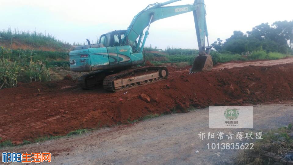 QQ图片20190703152513.jpg
