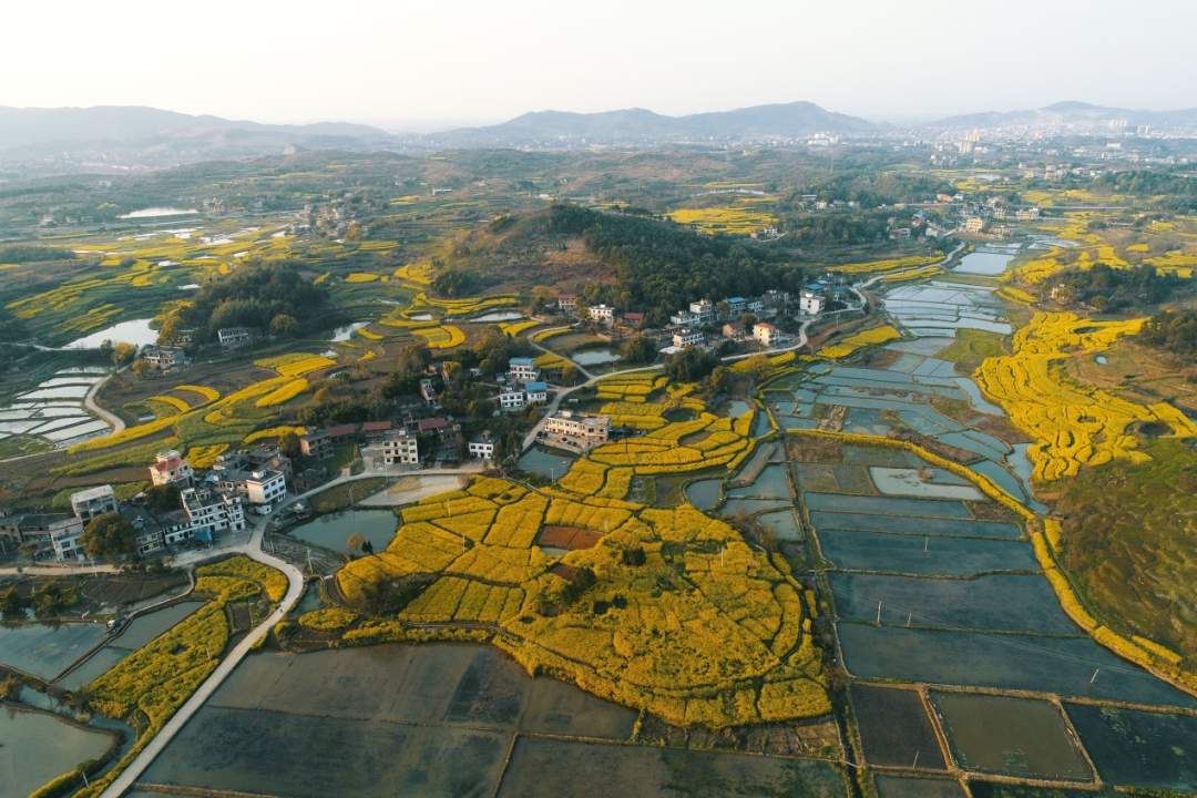 微信图片_20200312184207.jpg