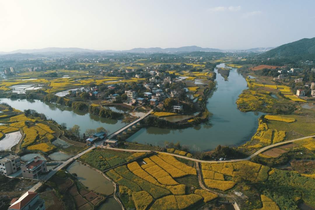 微信图片_20200312184157.jpg
