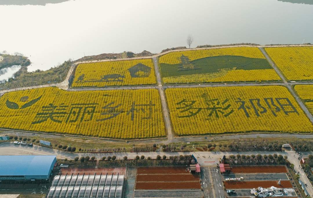 微信图片_20200312184135.jpg
