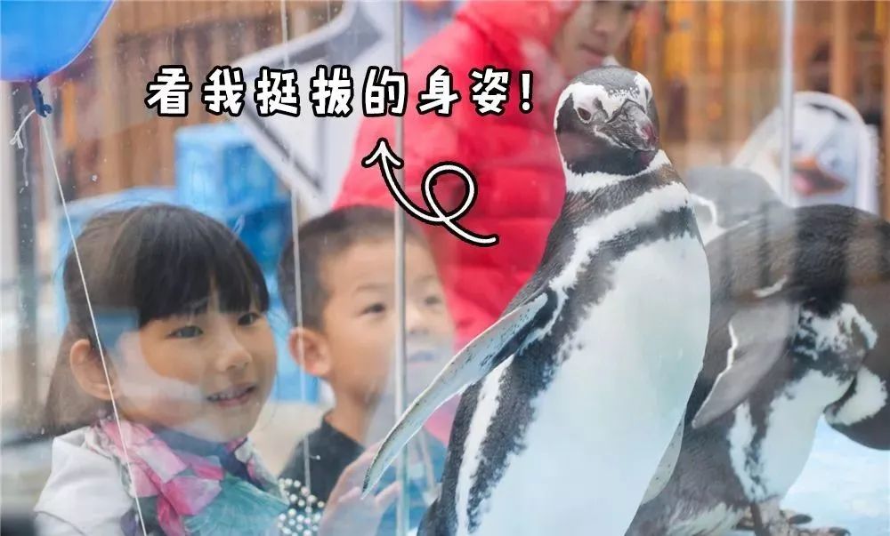 微信图片_20211111145203.jpg