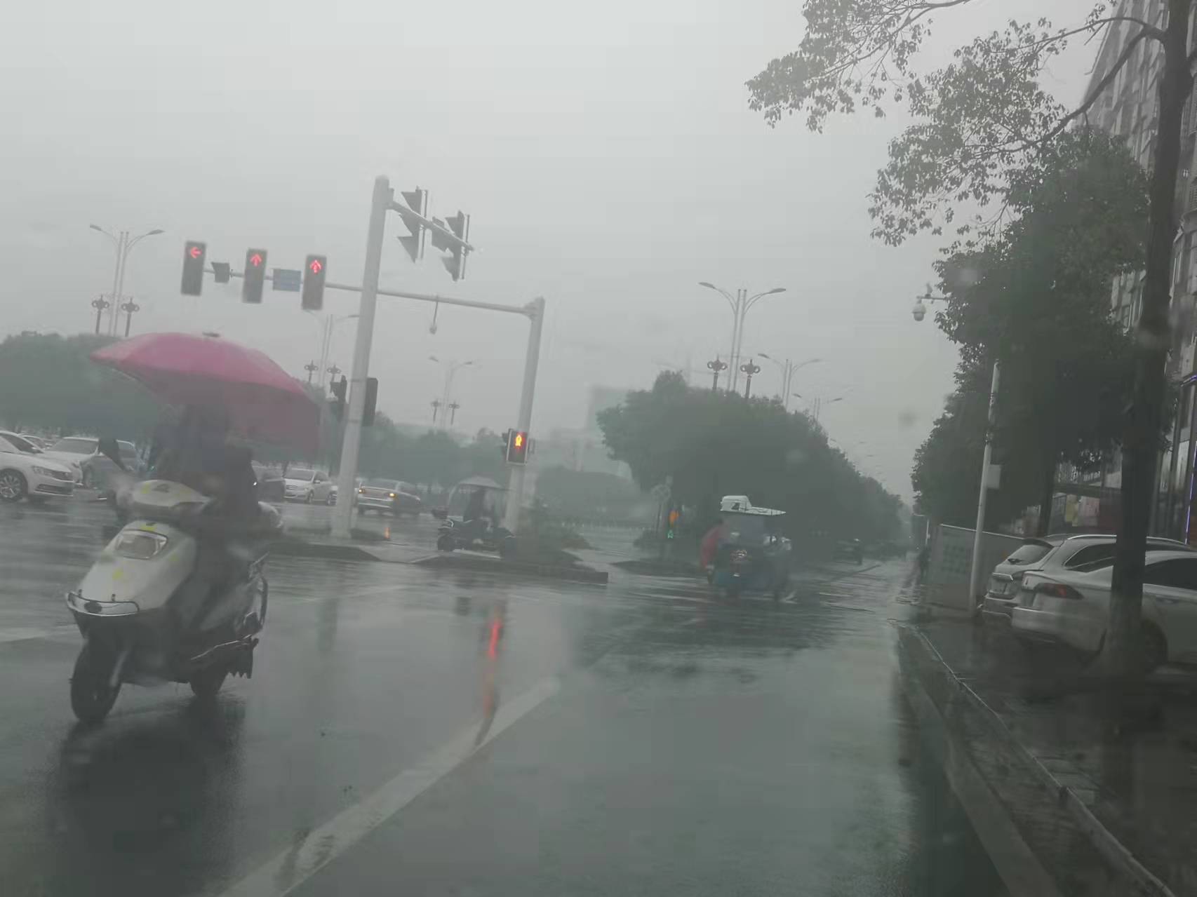 微信图片_20211117083454.jpg