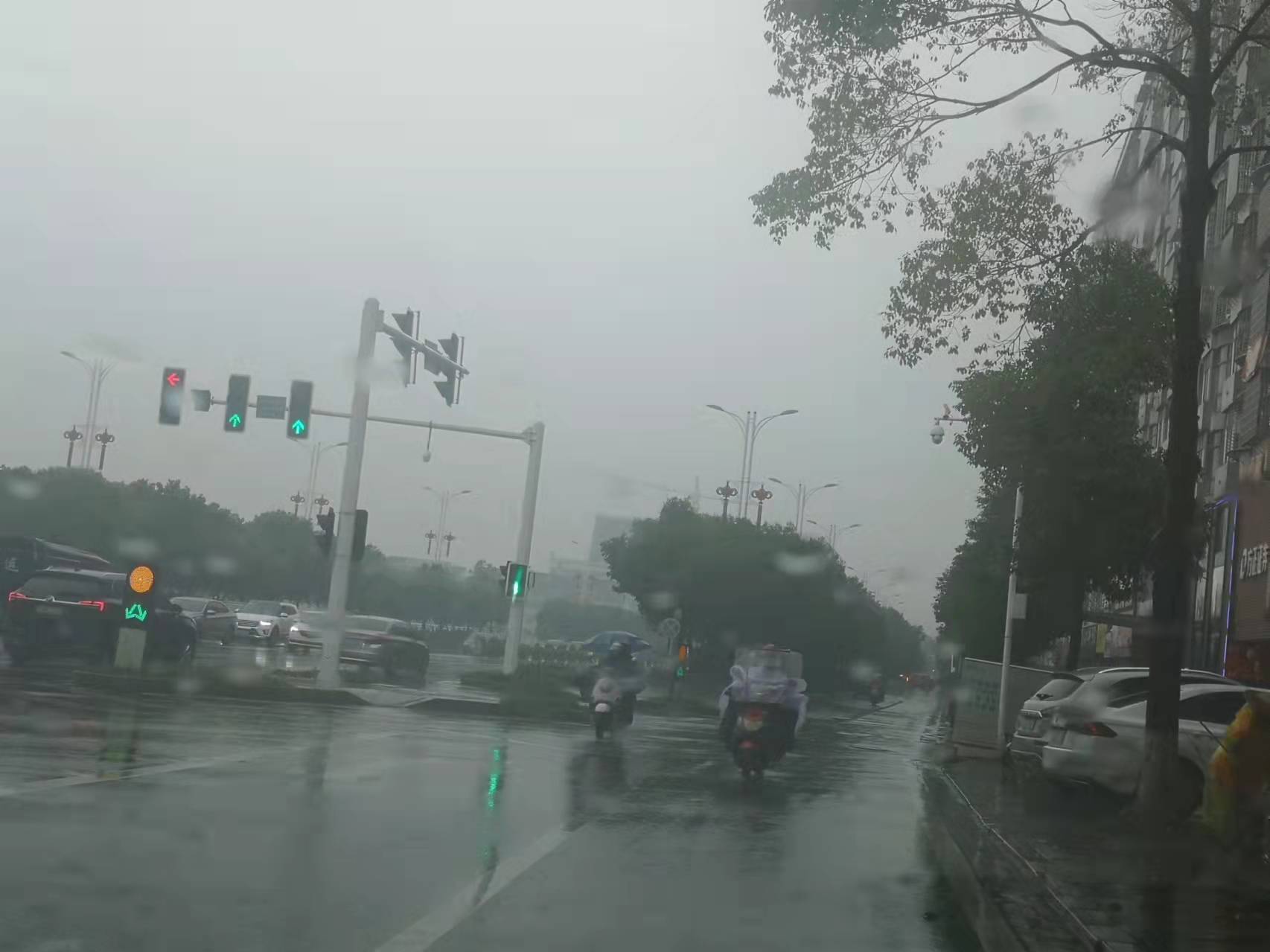 微信图片_202111170834544.jpg