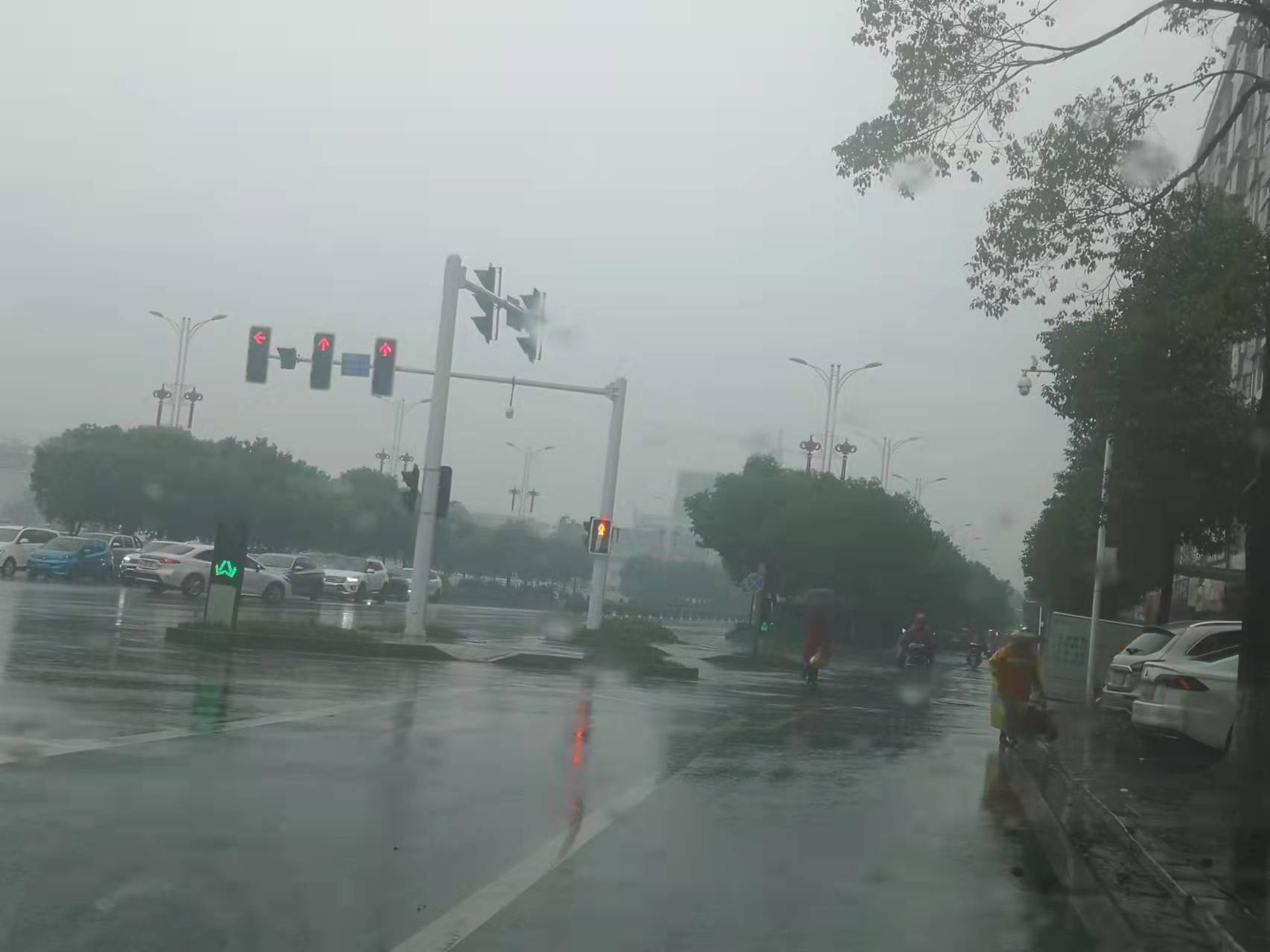 微信图片_202111170834545.jpg