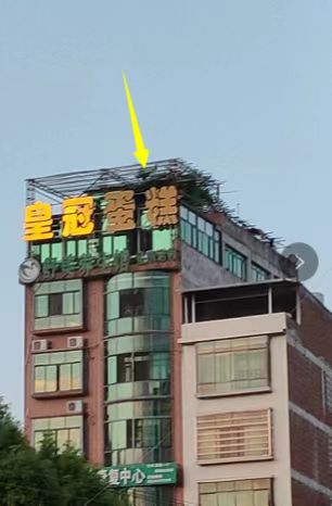 微信图片_20220511110443.jpg