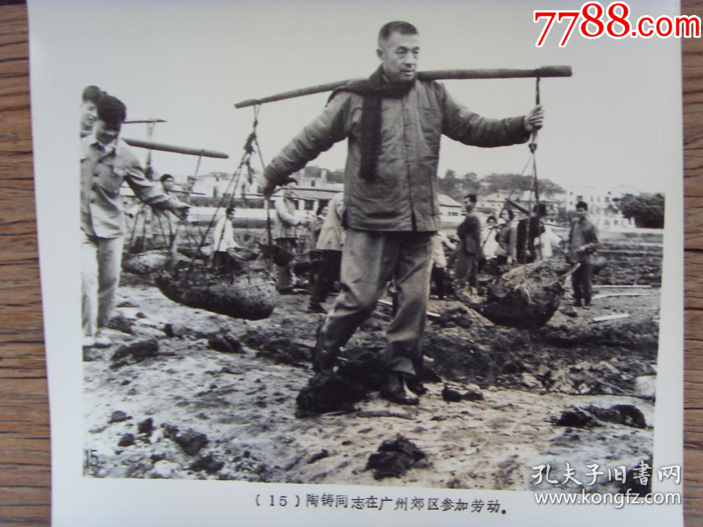 1963年陶铸（湖南祁阳人）在广州市郊区参加劳动