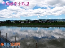我们的田野