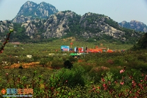 蓝山梨花节游梨园