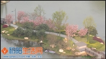晨曦
