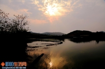 《朝辉夕映》
