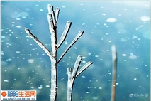 春寒
