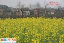 春到清江