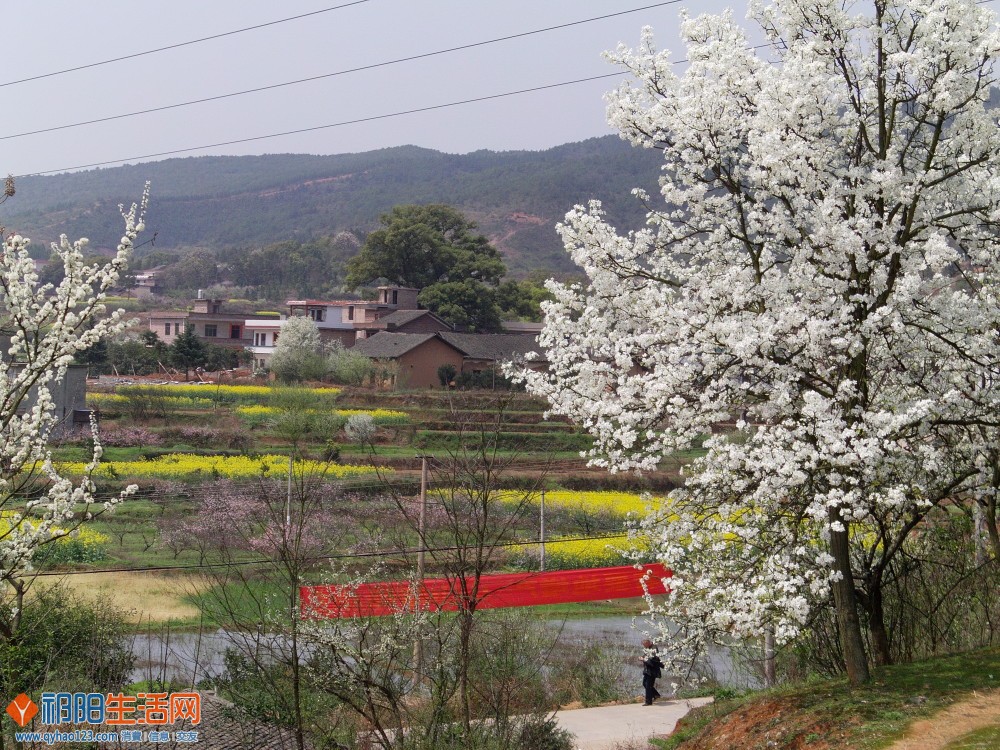 我们一起去踏青-云盘甸乡村