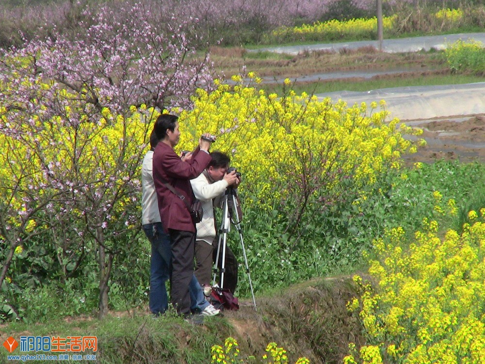 我们一起去踏青-云盘甸乡村