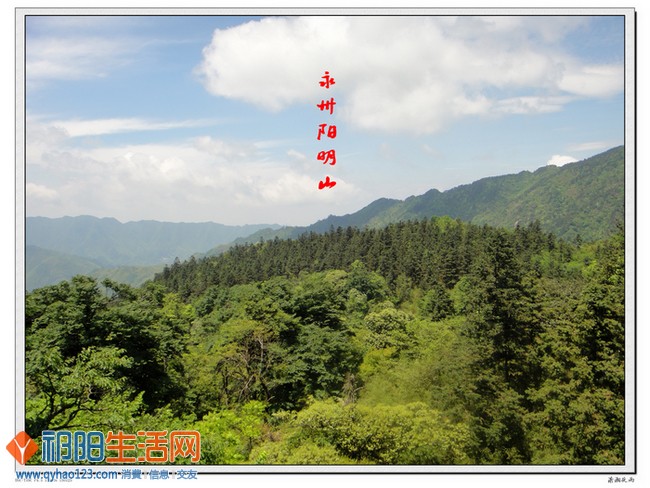 阳明山17.jpg