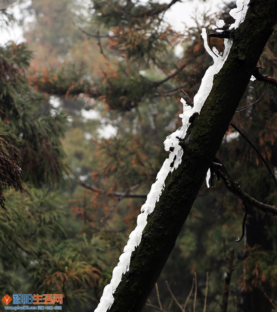 残雪.JPG