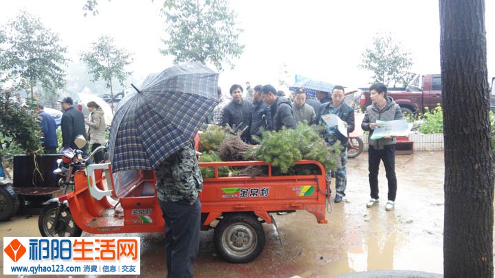 祁阳水土保持局