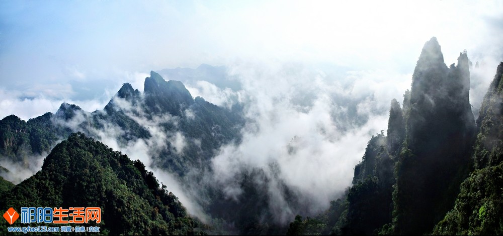 雨后春笋.jpg