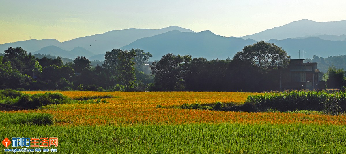 山村的早晨