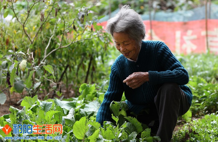 《除草》钱小春-84岁.jpg