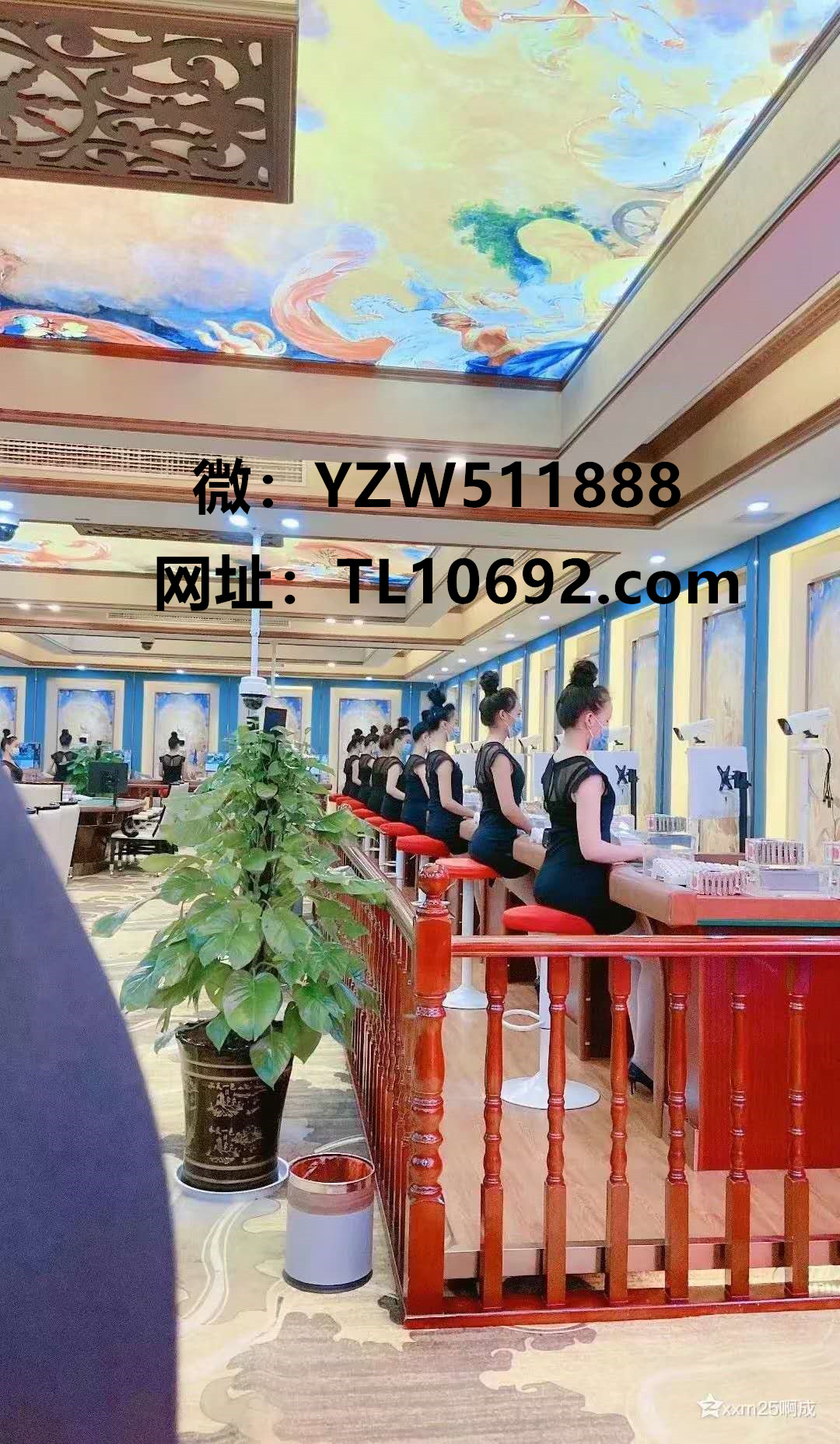 腾龙公司怎么联系上家代理微YZW511888第一财经