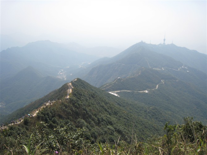 梧桐山.jpg