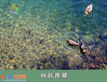 斑驳陆离