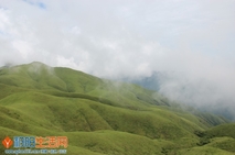 高山草甸---武功山