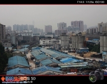 求围观  带着相机去旅行   我来到了深圳