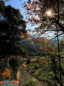 金洞山间小景