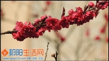 大集合【缩水太严重了】