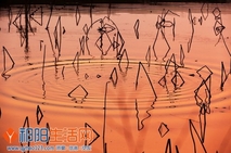 春，来了