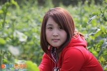 一组人像